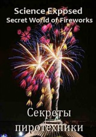 Смотреть Наука пиротехники / The Science of Fireworks онлайн